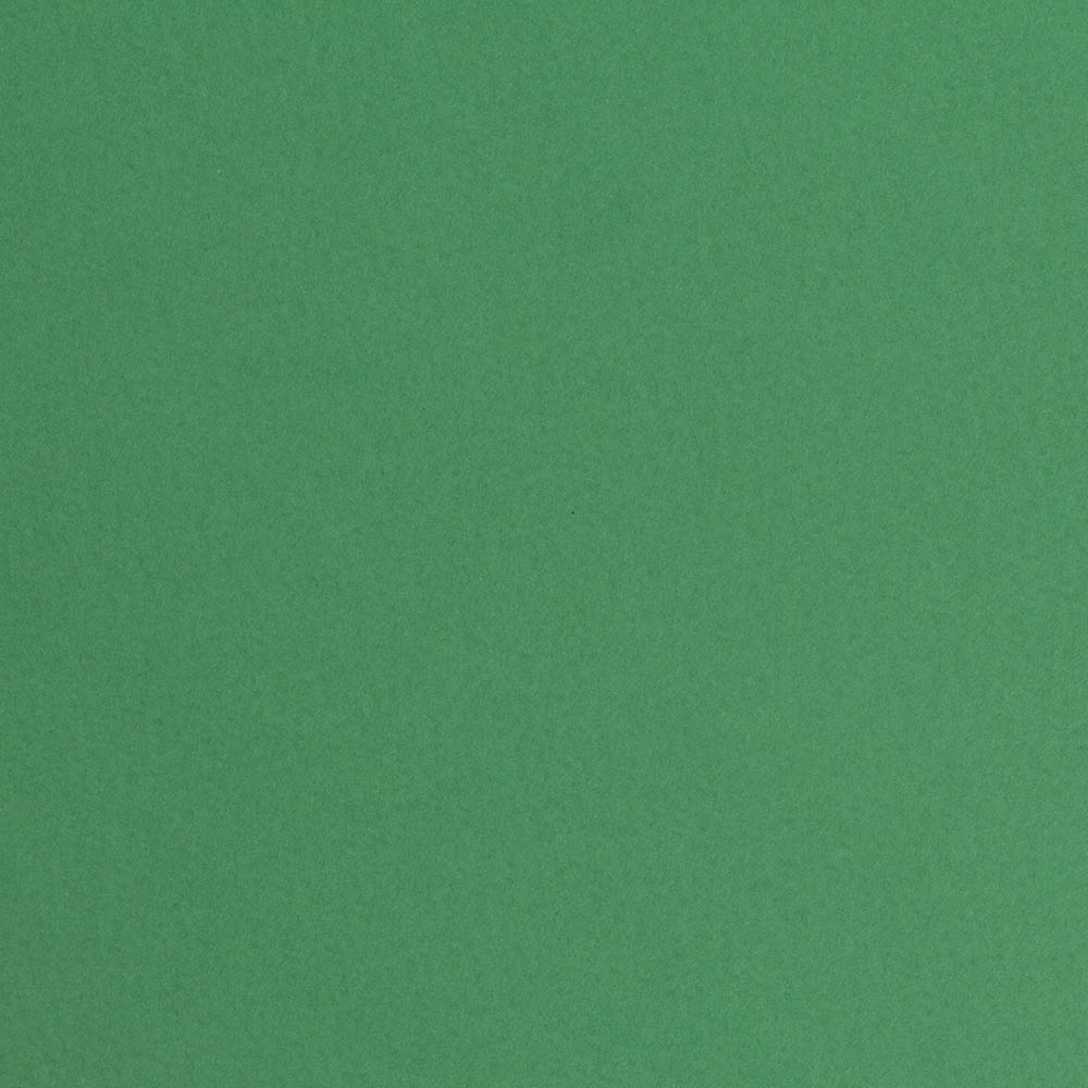 Fabriano, Green, Loose Paper, Art & School, 20"x26", Tiziano, 160gsm, Billiard, 406931